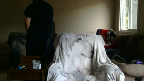 Snapshot of jameswolf777 chatting on 27, 9, 2025 jameswolf777 online show from 27, 9, 2025