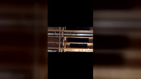 jamie19905 online show from 4, 3, 2026