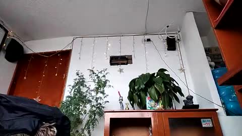 janariivera1 online show from 11, 2, 2026