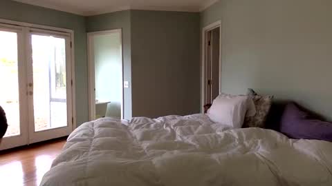 Snapshot of janicepepper chatting on 4, 1, 2025 janicepepper online show from 4, 1, 2025