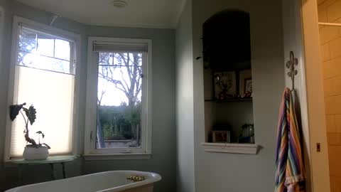 Snapshot of janicepepper chatting on 2, 3, 2025 janicepepper online show from 2, 3, 2025