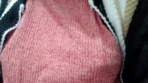 jasspreettt online show from 1, 2, 2025