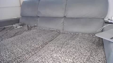 Snapshot of javierandaniel chatting on 5, 12, 2024 Javier online show from 5, 12, 2024