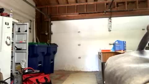 Snapshot of jawssharkparty chatting on 12, 9, 2025 Jaws online show from 12, 9, 2025