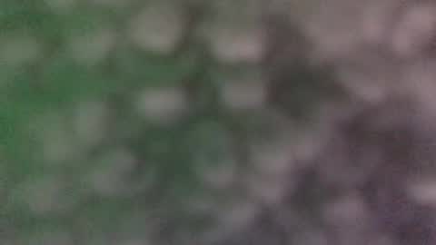 Jaxxx Daniels online show from 13, 12, 2024