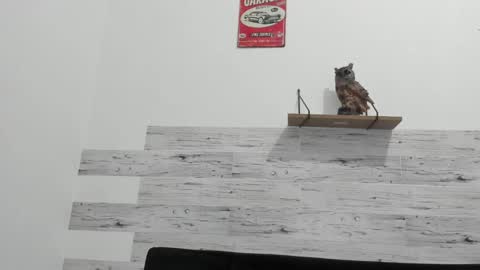 Jaycreedd online show from 20, 2, 2025