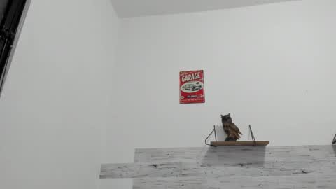 Jaycreedd online show from 25, 10, 2025