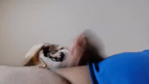 Snapshot of jayl458 chatting on 10, 3, 2025 jayl458 online show from 10, 3, 2025