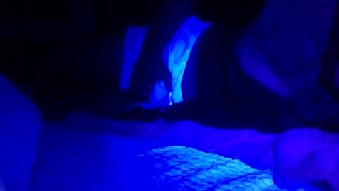 Jaysobricked online show from 7, 2, 2025