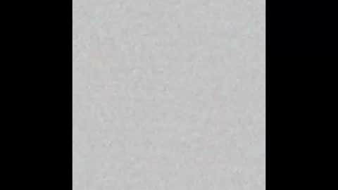 JcMax305 online show from 19, 2, 2026