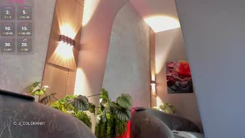 Jean Colleman online show from 23, 7, 2026