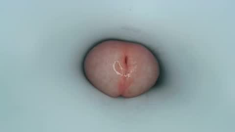 jeffrodgerschaturbat online show from 11, 1, 2025