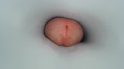 jeffrodgerschaturbat online show from 12, 1, 2025