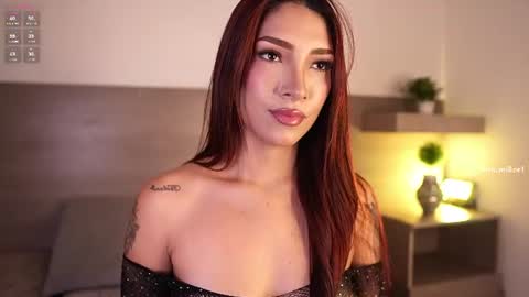     online show from 11, 7, 2026