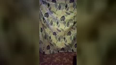 jennytravestisexy online show from 3, 8, 2026