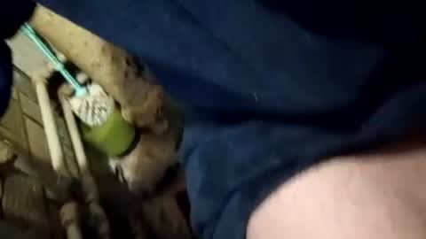 Join me online show from 8, 2, 2025