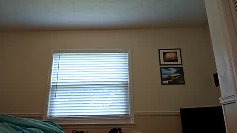 Jeri Lynn online show from 5, 7, 2026