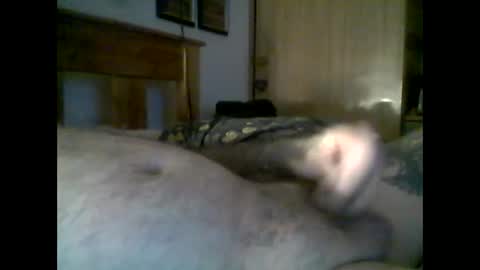 Snapshot of jerkmate6666 chatting on 22, 11, 2025 jerkmate6666 online show from 22, 11, 2025