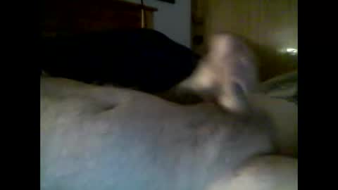 Snapshot of jerkmate6666 chatting on 4, 12, 2025 jerkmate6666 online show from 4, 12, 2025