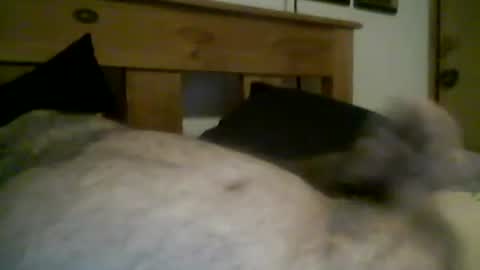 Snapshot of jerkmate6666 chatting on 12, 3, 2026 jerkmate6666 online show from 12, 3, 2026