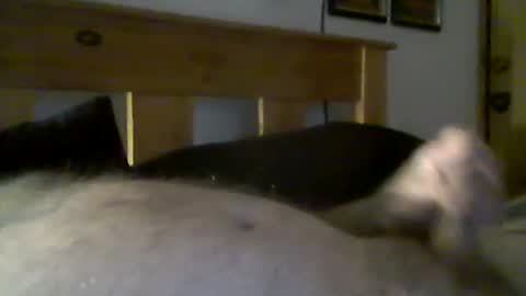 Snapshot of jerkmate6666 chatting on 15, 3, 2026 jerkmate6666 online show from 15, 3, 2026