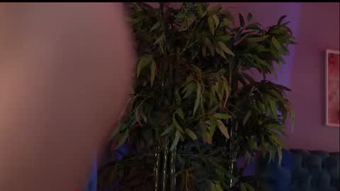 Snapshot of jessica_rabyt chatting on 28, 7, 2026 JessicaRabbit online show from 28, 7, 2026