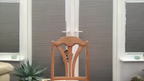 Jigz1986 online show from 10, 2, 2025