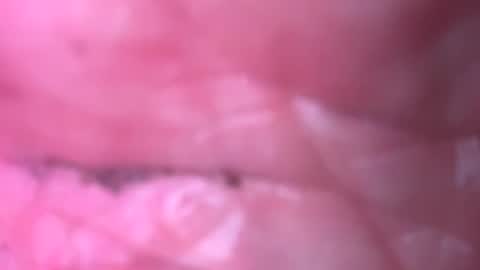 Snapshot of jim2233442211 chatting on 19, 9, 2025 jim2233442211 online show from 19, 9, 2025