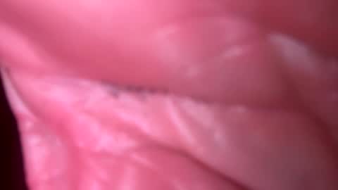 Snapshot of jim2233442211 chatting on 4, 11, 2025 jim2233442211 online show from 4, 11, 2025