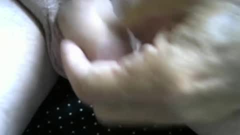 jimismiles online show from 7, 10, 2025