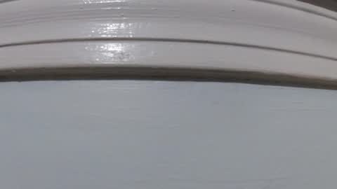 Snapshot of jimmyz500 chatting on 12, 3, 2026 jimmyz500 online show from 12, 3, 2026