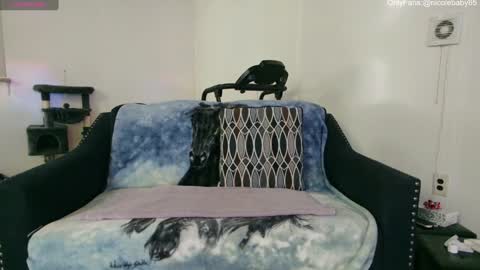 Nicole  Allen online show from 22, 12, 2024