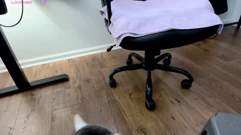 Nicole  Allen online show from 3, 12, 2025