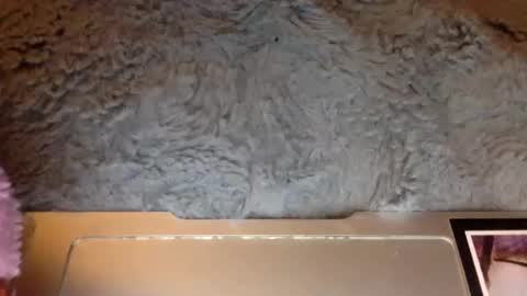 Holmesfifth online show from 5, 12, 2024