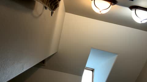 Jimmy online show from 3, 2, 2025