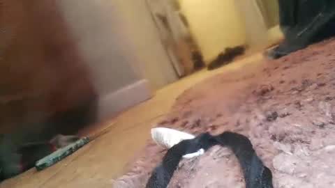 Jimmy online show from 23, 2, 2025