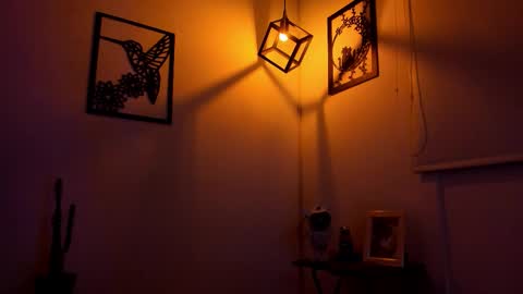 IGJmortton online show from 2, 2, 2026