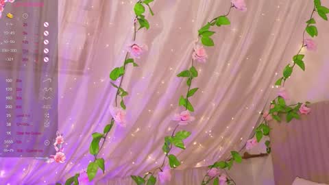 Snapshot of joe___joe chatting on 21, 12, 2025 Joe online show from 21, 12, 2025