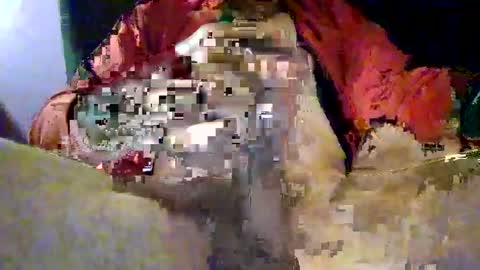 joe_says_hi online show from 16, 11, 2025