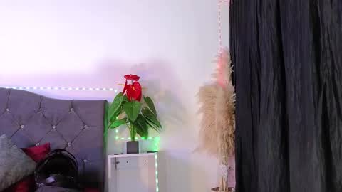 John  online show from 26, 2, 2026