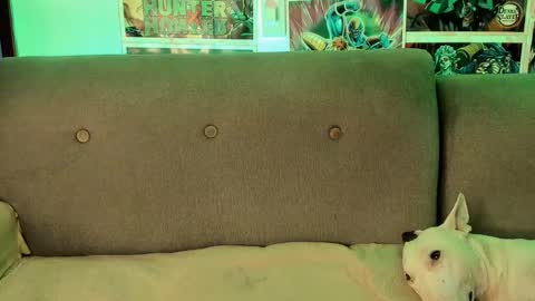 John carrie    Independent  Help me reach my goal 100 likes and 10000 followers  online show from 28, 9, 2025