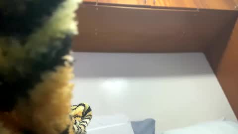 JOHN online show from 8, 2, 2025