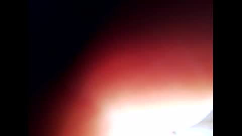 Snapshot of johnlong25cm chatting on 24, 12, 2024 johnlong25cm online show from 24, 12, 2024