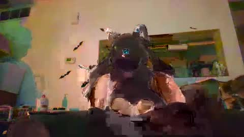 Snapshot of johnnyadepth chatting on 1, 11, 2025 johnnyadepth online show from 1, 11, 2025