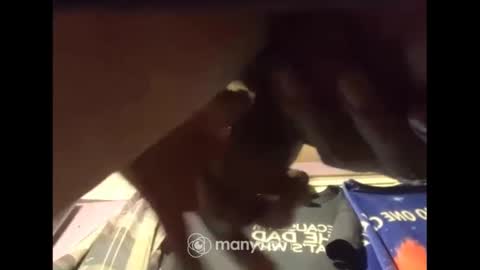 johnnyshung1 online show from 13, 12, 2024