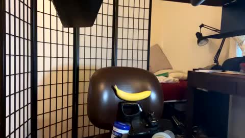 Snapshot of jondoe3657 chatting on 23, 1, 2025 jondoe3657 online show from 23, 1, 2025