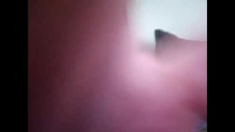 joshinterchecks online show from 25, 2, 2026