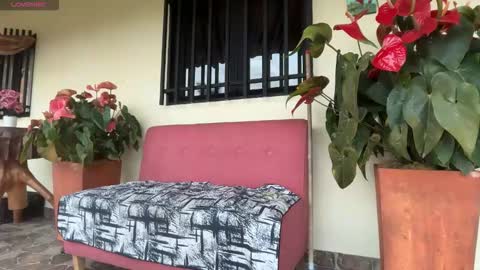 Im Jouliano online show from 8, 2, 2026