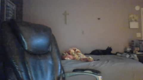 jpetz69257238 online show from 5, 8, 2026