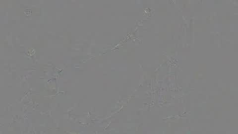 Snapshot of juergen_schoenfeld chatting on 24, 11, 2025 Jrgen Schnfeld online show from 24, 11, 2025